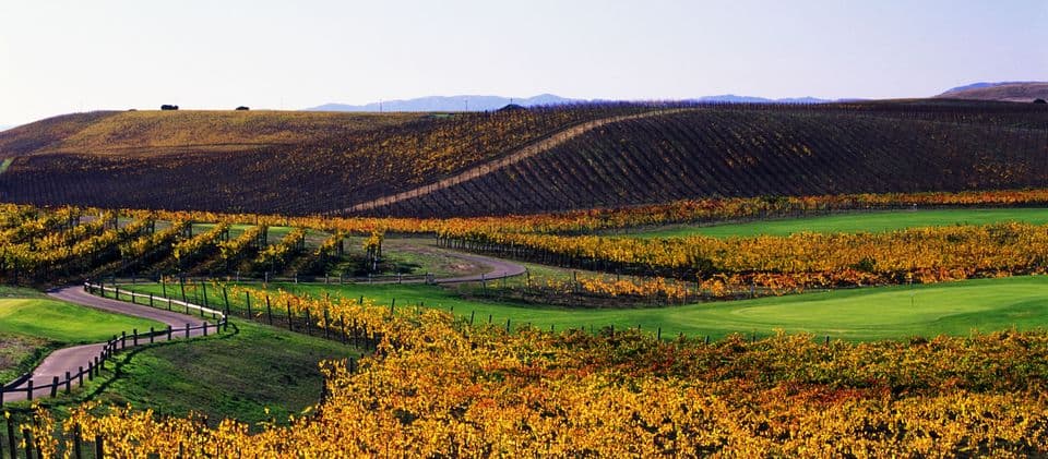 Chardonnay Golf Club