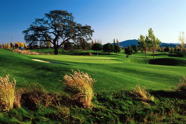 Rooster Run Golf Club